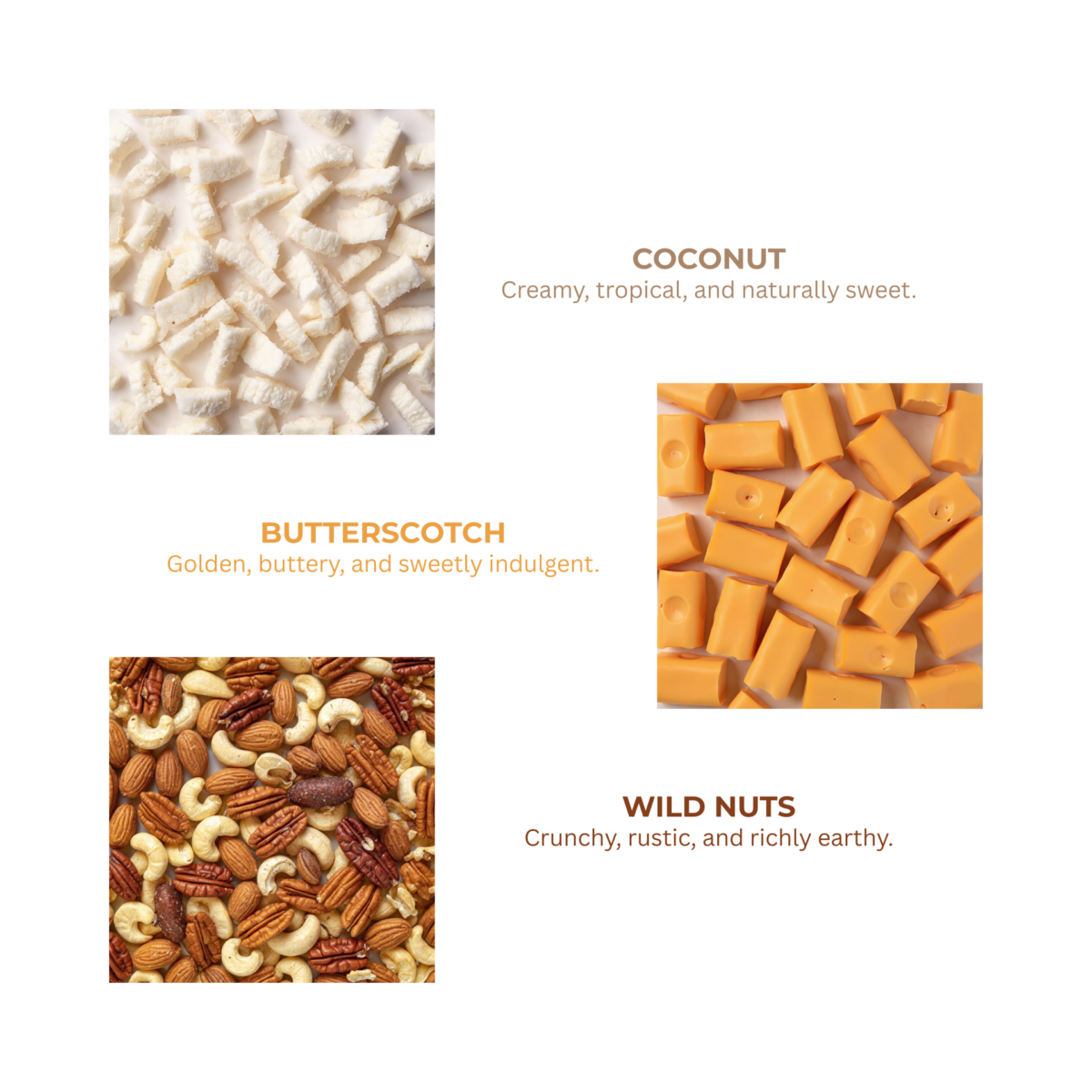 COCO NUTTY(I)_page-0001 COCO NUTTY